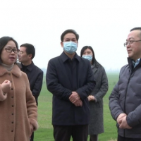 長(zhǎng)江委、省水利廳檢查組來(lái)枝江檢查河道采砂管理工作