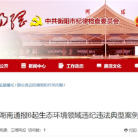超時(shí)、超量、越界采砂！湖南通報(bào)6起生態(tài)環(huán)境領(lǐng)域違紀(jì)違法典型案例 2起與砂石有關(guān)！
